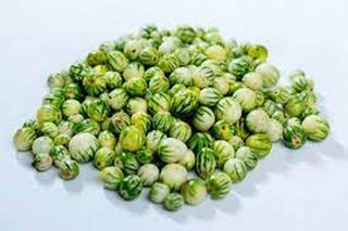 Bitter Berries (Katunkuma) Fresh, Loose