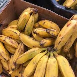 Apple Banana Kivuvu, Loose