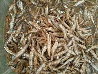 Silver Fish (Mukene), 1 Pack