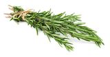 Fresh Rosemary, Loose
