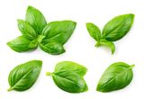 Fresh Basil, Loose