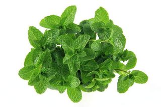 Fresh Mint Leaves, Loose