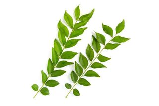 Fresh Curry Leaves, 1 Pack