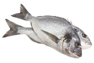 Fresh Fish, Single Pack