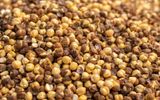 Brown Channa, 500g