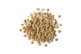 Lentils, Single Pack