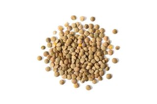Lentils, Single Pack