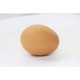 Boiled Egg, Single Pack