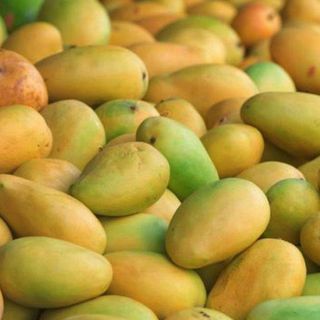 Local Mangoes Small Pack