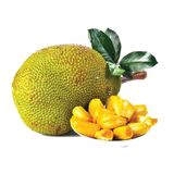 Jackfruit