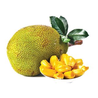Jackfruit