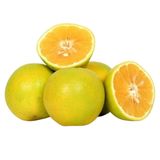 Local Oranges  Medium Pack