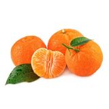 Local Tangerines Medium Pack