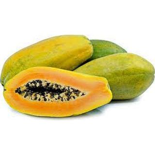Yellow Pawpaw Medium 1pc