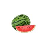 Zebra Watermelon big size
