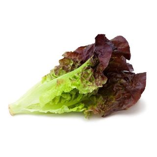 Red Lettuce Leaves~ 1 Bundle