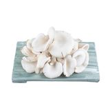 Mashroom Fresh 2kg