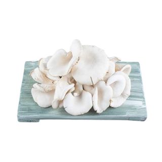 Mashroom Fresh 2kg