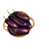 Purple Egg Plant Small Pack