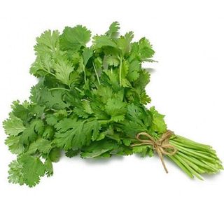Coriander