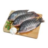 Fresh nileperch