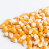 Popcorn seeds 1kg