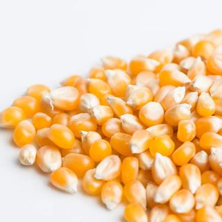 Popcorn seeds 1kg