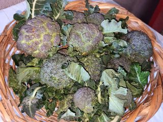 Brokula domaća 1 kg