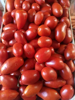 Domaća rajčica šljivarica 1kg