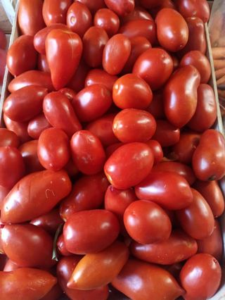 Domaća rajčica šljivarica 1kg