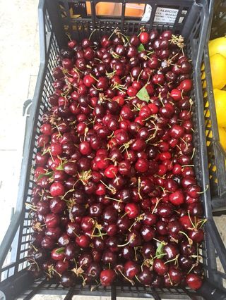 Domaća trešnja 1kg