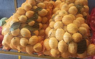 Domaći neprskani limun VIS