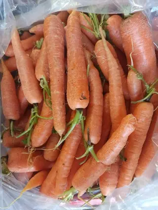 Mrkva domaća 1 kg