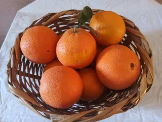 Naranča 1 kg