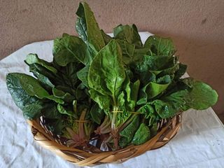 Špinat domaći 1 kg