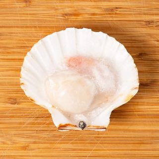 Jakobove Kapice U Pola Školjke 1 Komad