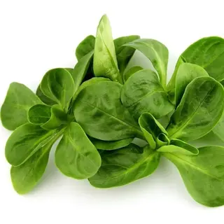 Matovilac 100g