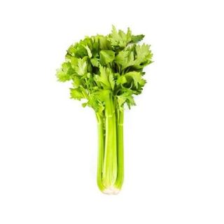 Celer 1 kom (cca 500 g)