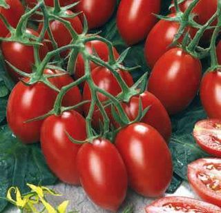 Чери домати Кампари (1 тарелка ~800гр.)