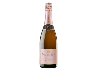 Raventos i Blanc De Nit (750мл)