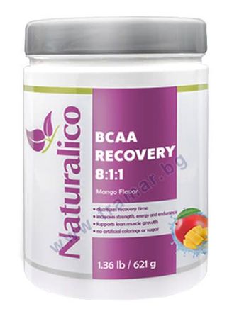 NATURALICO BCAA RECOVERY 8:1:1 (45 дози) манго