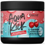 OstroVit Aqua Kick / Advanced Hydration with L-Carnitine & Green Tea [300 грама, 30 Дози]