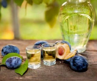 Țuica de pruna (Valenii de munte) / 500ml