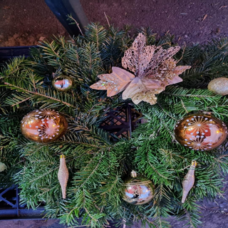 Coroniță brad natural / buc