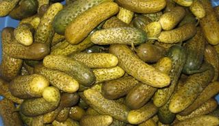 Castraveti murati in saramur / kg