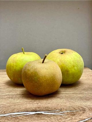 Mere Renet Romania / kg