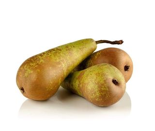 Pere Conference / Kg