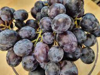 Strugure negru fara samburi Romania / Kg