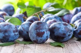 Prune Romania / kg