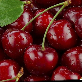 Cireșe inimă de porumbel / Kg